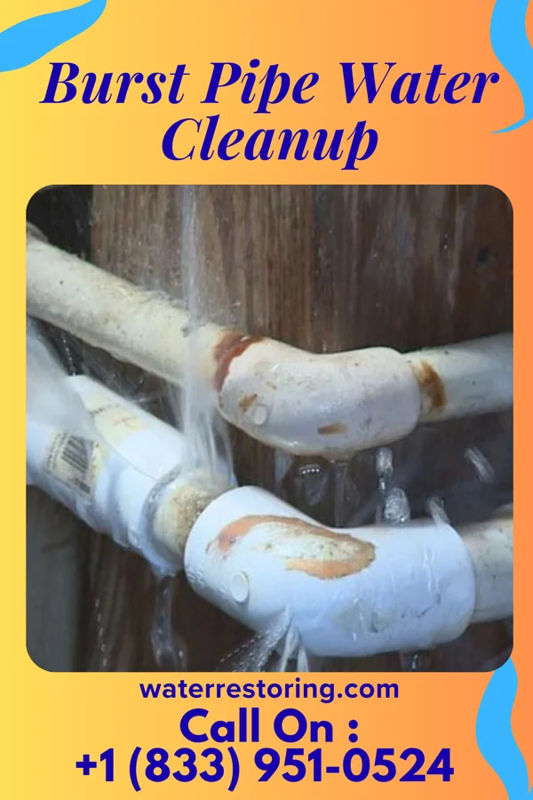 Burst Pipe Water Cleanup in Zanesfield, OH