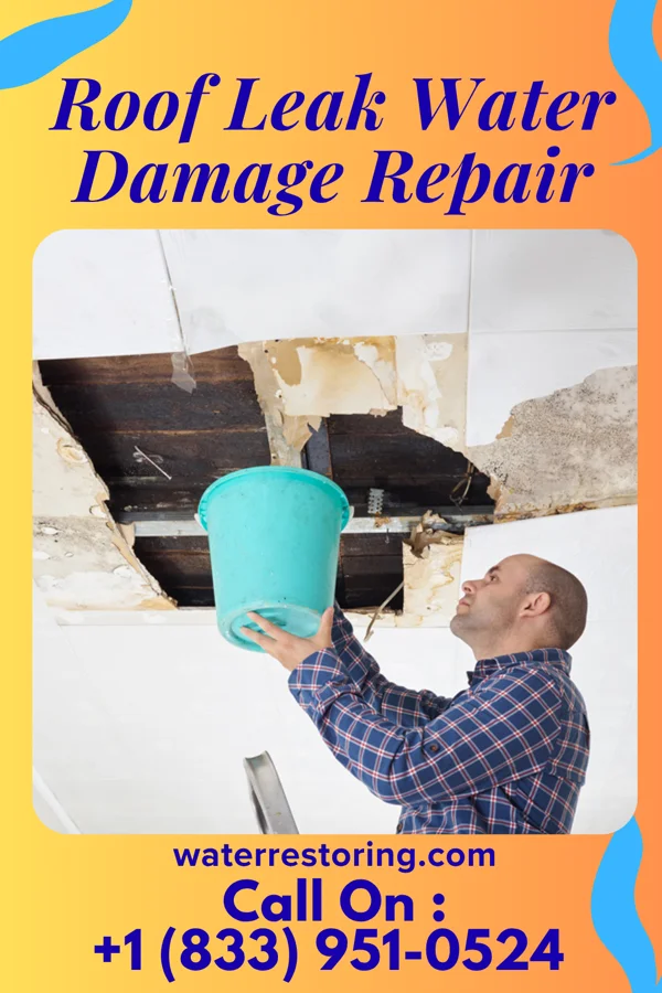 Roof Leak Water Damage Repair in Zanesfield, OH