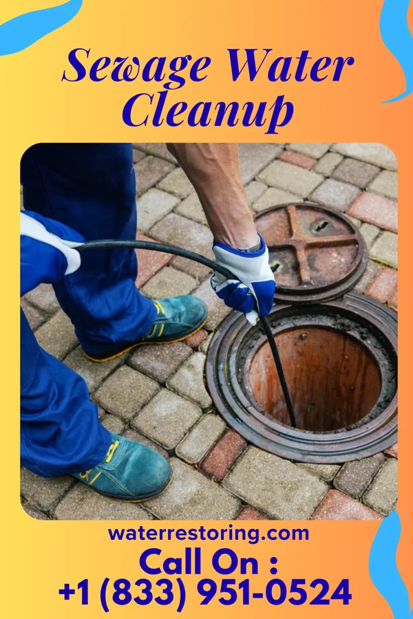 Sewage Water Cleanup in Zanesfield, OH